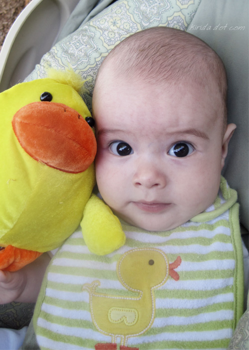 duck duck baby